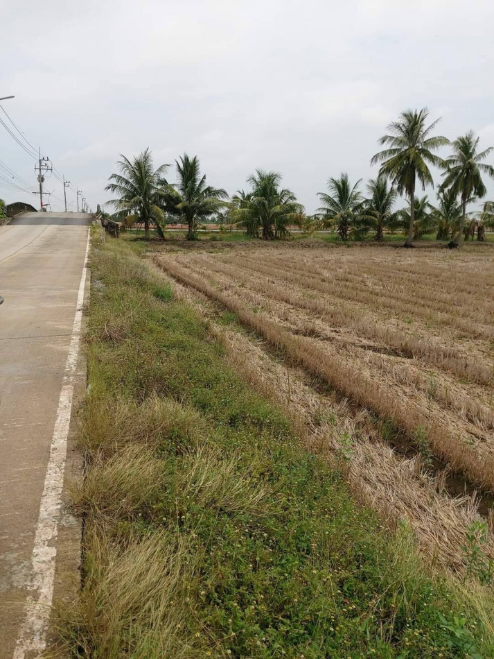 ขายที่ดินคลองเปรง 7 ไร่ ติดถนนคอนกรีต ติดลำราง ใกล้แยกเปร็งและถ.เส้นเทพราช-ลาดกระบัง 3001 - 5 กม. เมืองฉะเชิงเทรา รูปที่ 3