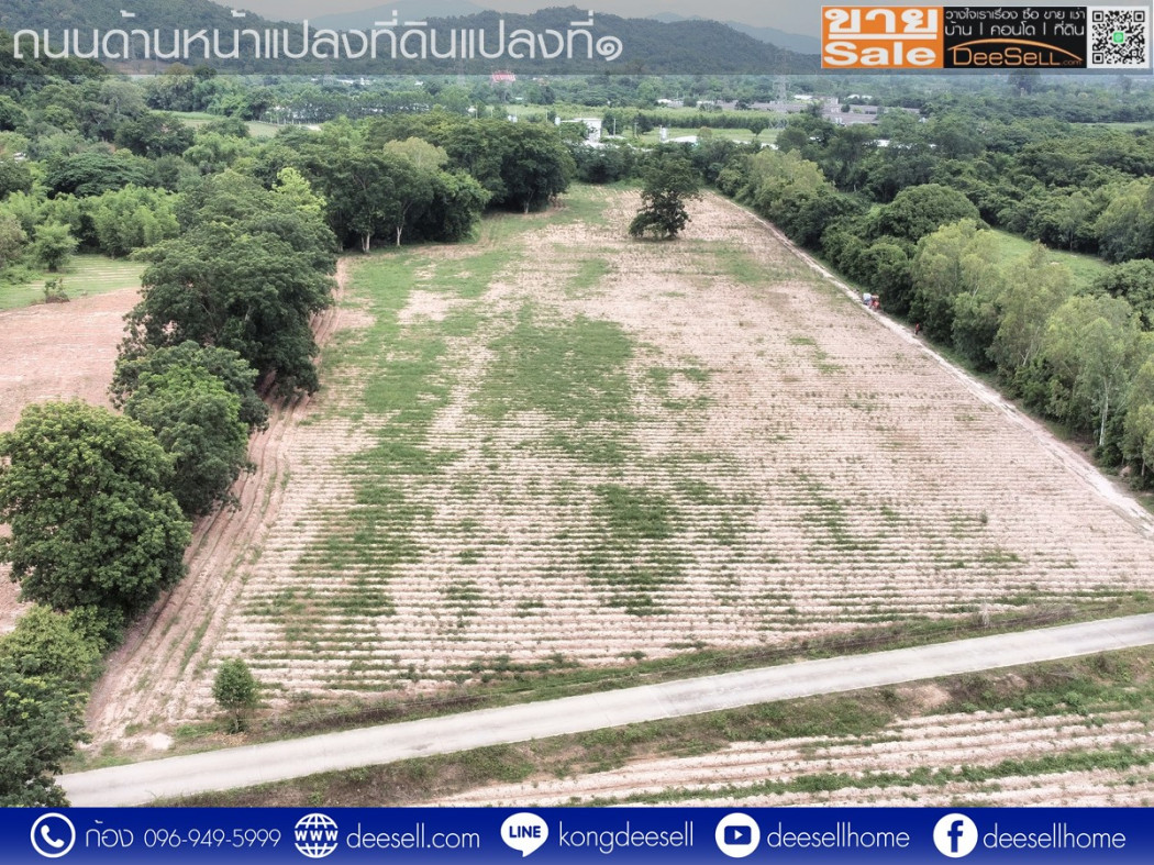 ขายที่ดินสระบุรี เจริญธรรม อำเภอวิหารแดง 2 แปลงรวม 30 ไร่ ราคาถูกที่สุด รูปที่ 8