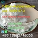 รูปย่อ (wickr:vivian96) Factory Supply 1-Boc-4-piperidone CAS 79099-07-3 to Mexico/USA/Canada  รูปที่5