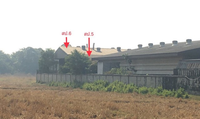 ขายบ้านเดี่ยวใกล้ โลตัสโกเฟรชบ้านเป็ด อำเภอเมืองขอนแก่น จังหวัดขอนแก่น PKK02-13402 รูปที่ 1