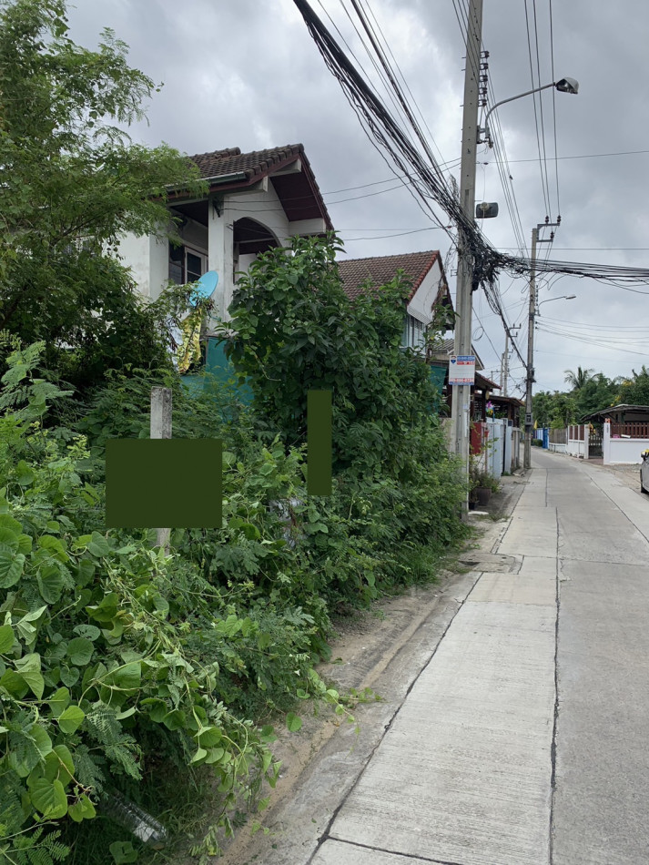 ขายที่ดินถูกมาก ราคาร้อนเงิน ตรงข้าม ม.ธุรกิจบัณฑิต 63 ตร.วา หาไม่ได้อีกแล้ว รูปที่ 5
