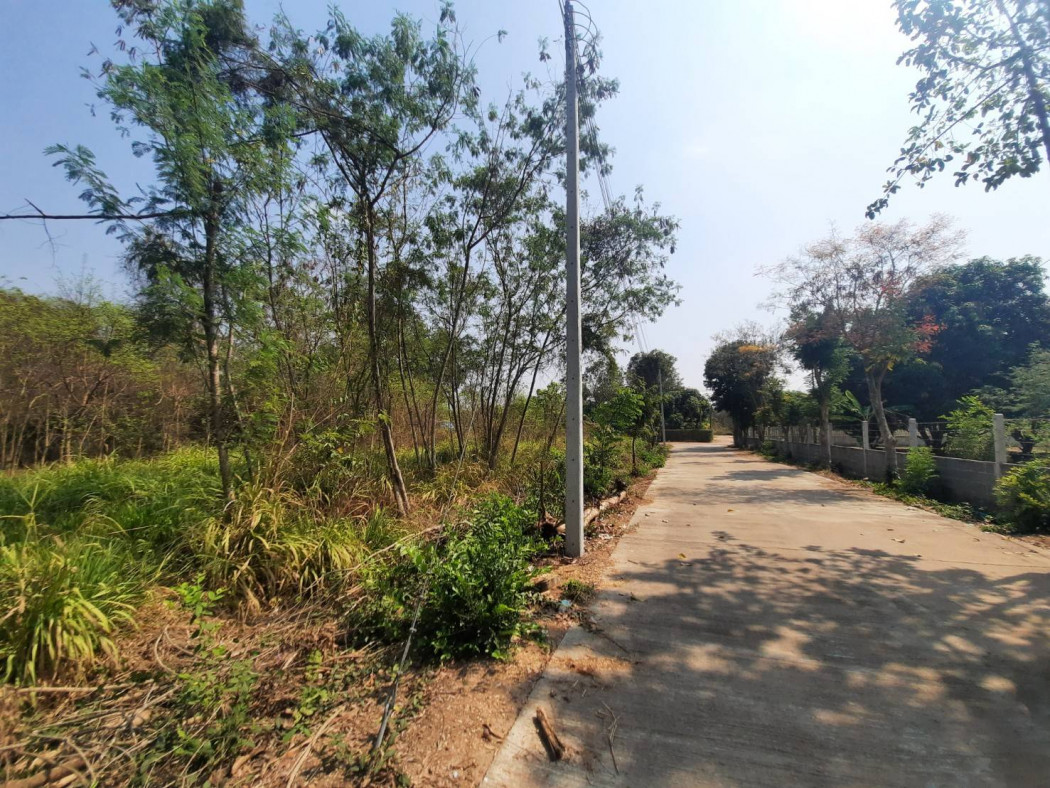 ขายที่ดินหนองยาว 265 ตรว. ราคาถูกๆ ใกล้ถนนเส้น ฉช.3002 - 450 เมตร พนมสารคาม ฉะเชิงเทรา รูปที่ 3