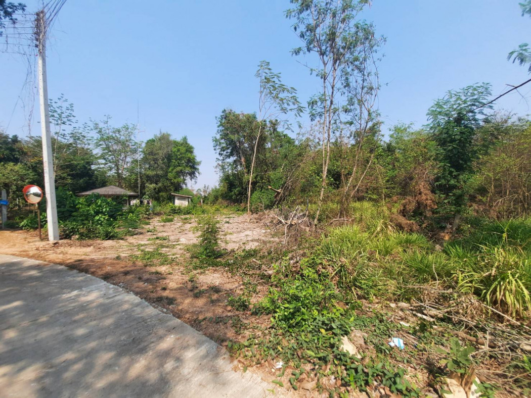 ขายที่ดินหนองยาว 265 ตรว. ราคาถูกๆ ใกล้ถนนเส้น ฉช.3002 - 450 เมตร พนมสารคาม ฉะเชิงเทรา รูปที่ 5