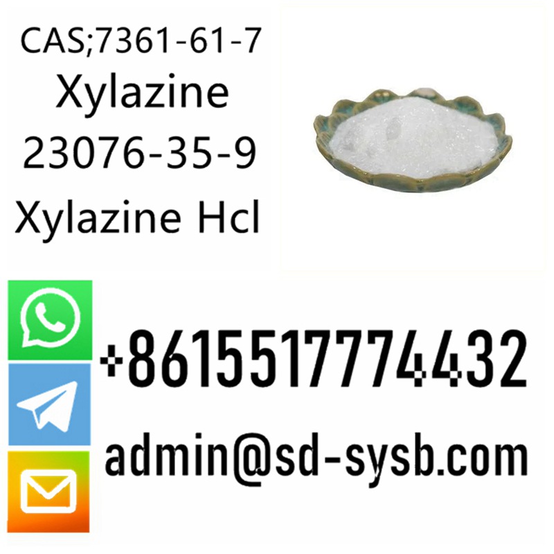 cas 23076-35-9 Xylazine Hydrochloride	Free sample	High quality supplier in China รูปที่ 1