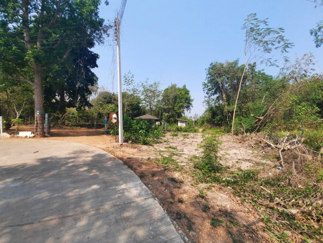 ขายที่ดินหนองยาว 265 ตรว. ราคาถูกๆ ใกล้ถนนเส้น ฉช.3002 - 450 เมตร พนมสารคาม ฉะเชิงเทรา รูปที่ 4