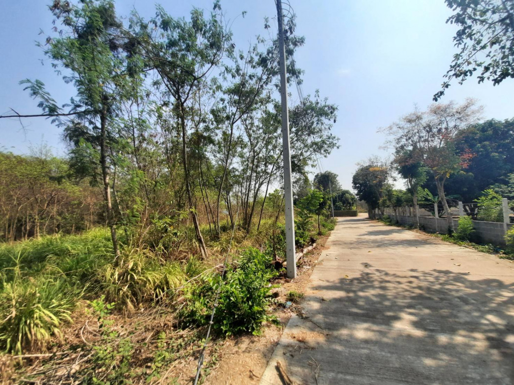 ขายที่ดินหนองยาว 265 ตรว. ราคาถูกๆ ใกล้ถนนเส้น ฉช.3002 - 450 เมตร พนมสารคาม ฉะเชิงเทรา รูปที่ 2