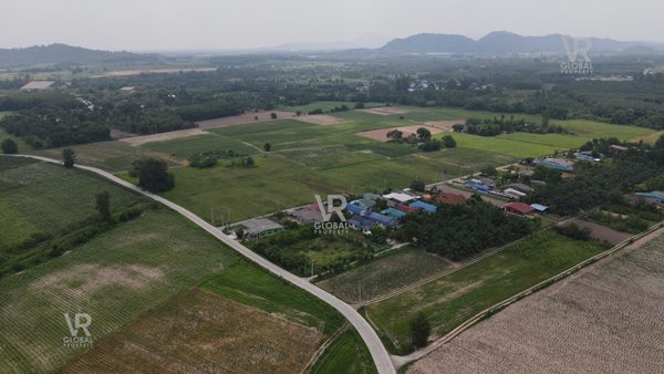 ขายที่ดินเปล่า พนัสนิคม ชลบุรี พื้นที่รวม 79-3-20 ไร่ แปลงใหญ่ มีความอุดมสมบูรณ์ ระบบน้ำ-ไฟฟ้าเข้าถึง รูปที่ 6