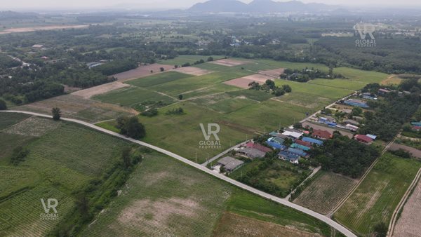 ขายที่ดินเปล่า พนัสนิคม ชลบุรี พื้นที่รวม 79-3-20 ไร่ แปลงใหญ่ มีความอุดมสมบูรณ์ ระบบน้ำ-ไฟฟ้าเข้าถึง รูปที่ 5