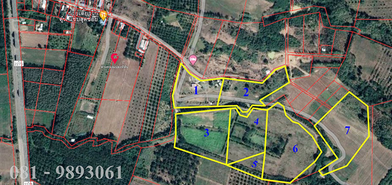 ขายที่ดิน 62 ไร่ ติดอุทยานแห่งชาติน้ำหนาว จ.เพชรบูรณ์ รูปที่ 1