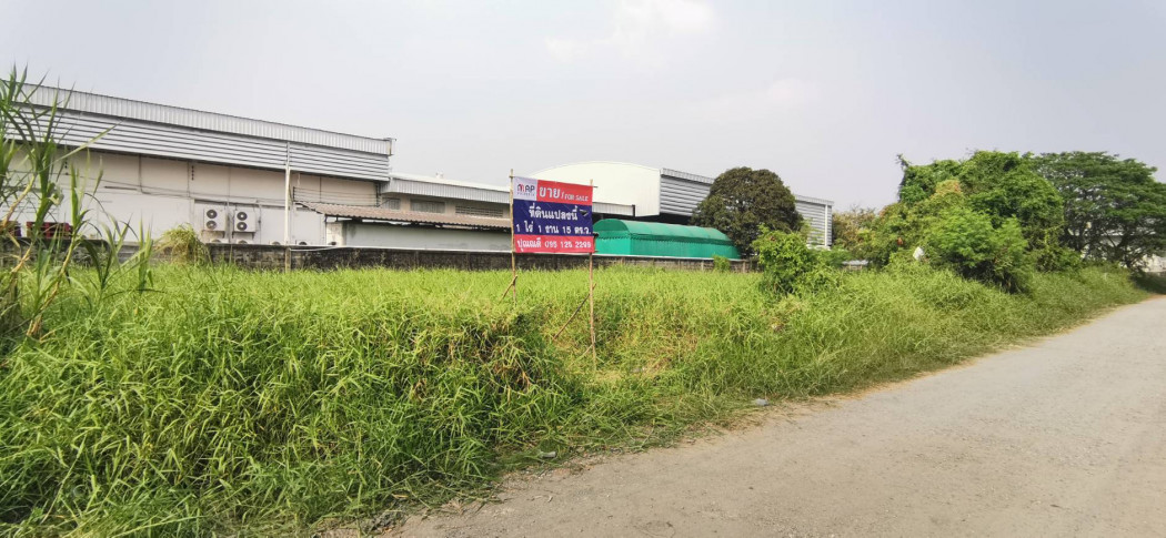 ขาย ที่ดิน ขายที่ดิน ร่มเกล้า 30 ลาดกระบัง กรุงเทพ - 1 ไร่ 1 งาน 15 ตร.วา รูปที่ 7