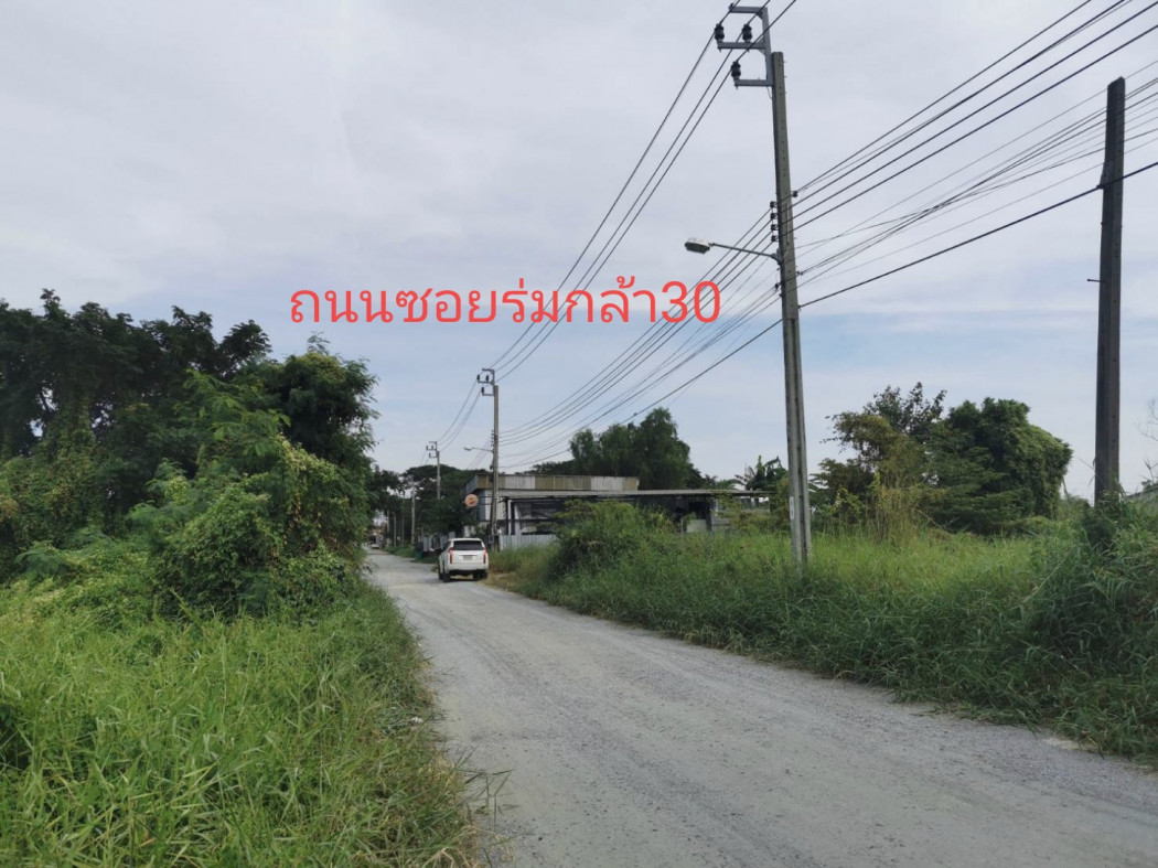 ขาย ที่ดิน ขายที่ดิน ร่มเกล้า 30 ลาดกระบัง กรุงเทพ - 1 ไร่ 1 งาน 15 ตร.วา รูปที่ 8