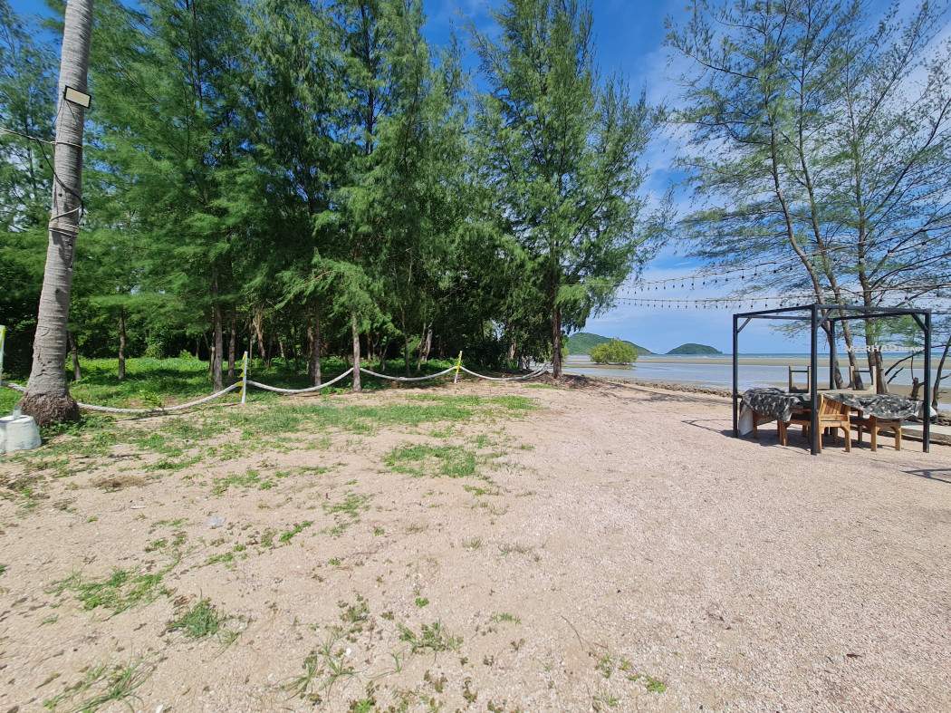 ขาย ที่ดิน ติดชายหาดเจ้าหลาว จันทบุรี 12 ไร่ บรรยากาศดีมาก​ เหมาะทำรีสอร์ทริมทะเล รูปที่ 1