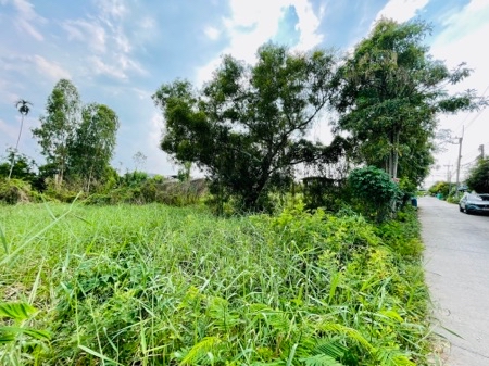 ขาย ที่ดิน คลองห้าตะวันออก ซอยจำรัส 380 ตร.วา แปลงสวยสี่เหลี่ยม เข้าซอยเพียง 80 เมตร ถนนลาดยาง หน้ากว้าง 45 เมตร เหมาะทำโกดัง สร้างบ้าน รูปที่ 11
