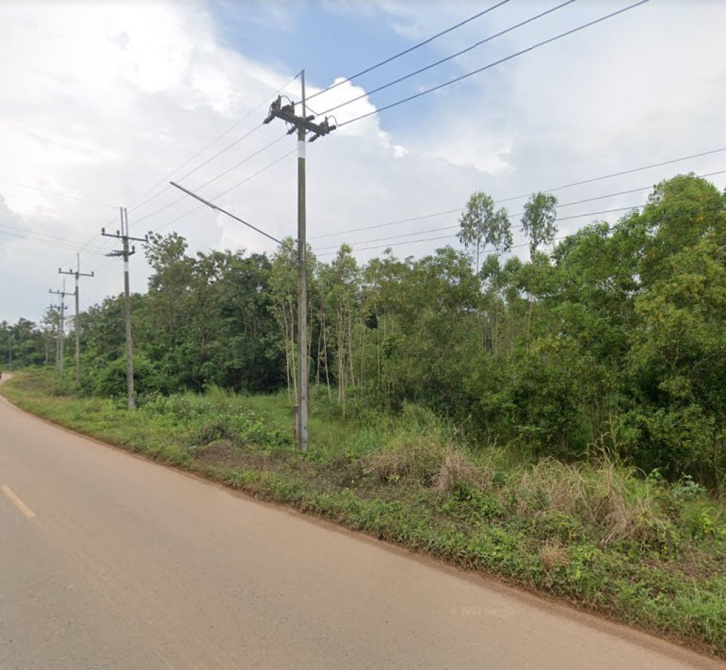 ขายที่ดินโคกไทย 146 ไร่ ติดฟาร์มหมู ติดถนนลาดยาง ใกล้ถนนเส้น 3011 - 2.5 กม. อ.ศรีมโหสถ จ.ปราจีนบุรี รูปที่ 6