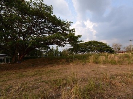 ขาย ที่ดิน เขาใหญ่ โครงการ โบนันซ่า 2ไร่ วิวภูเขาสวย เหมาะทำบ้านพักตากอากาศ รูปที่ 1