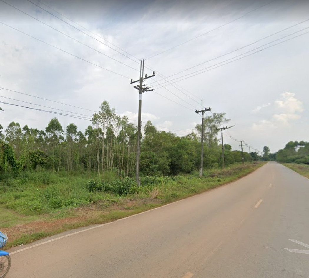 ขายที่ดินโคกไทย 146 ไร่ ติดฟาร์มหมู ติดถนนลาดยาง ใกล้ถนนเส้น 3011 - 2.5 กม. อ.ศรีมโหสถ จ.ปราจีนบุรี รูปที่ 1