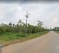 รูปย่อ ขายที่ดินโคกไทย 146 ไร่ ติดฟาร์มหมู ติดถนนลาดยาง ใกล้ถนนเส้น 3011 - 2.5 กม. อ.ศรีมโหสถ จ.ปราจีนบุรี รูปที่1