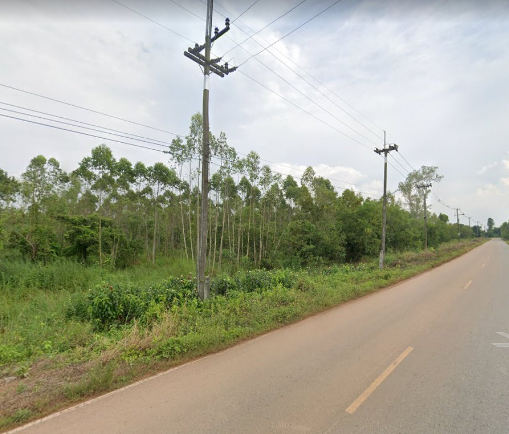 ขายที่ดินโคกไทย 146 ไร่ ติดฟาร์มหมู ติดถนนลาดยาง ใกล้ถนนเส้น 3011 - 2.5 กม. อ.ศรีมโหสถ จ.ปราจีนบุรี รูปที่ 3