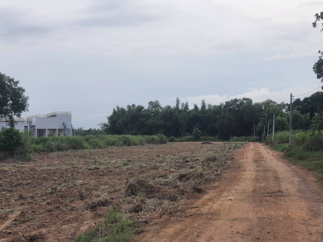ขายที่สวนผ่อนได้เกาะขนุน เริ่มต้น 200 ตรว. ผ่อนนาน60งวด ใกล้ตลาดสด โรงพยาบาลและถนนใหญ่ อ.พนมสารคาม ฉะเชิงเทรา รูปที่ 5