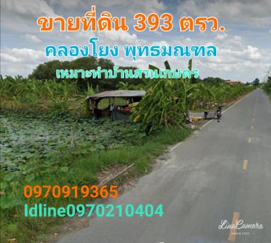ขาย ที่ดิน ติดถนน ติดน้ำ 393 ตร.วา คลองโยง พุทธมณฑล รูปที่ 6