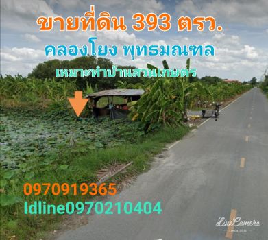 ขาย ที่ดิน ติดถนน ติดน้ำ 393 ตร.วา คลองโยง พุทธมณฑล รูปที่ 1