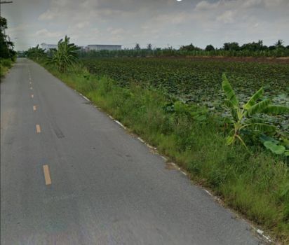 ขาย ที่ดิน ติดถนน ติดน้ำ 393 ตร.วา คลองโยง พุทธมณฑล รูปที่ 4