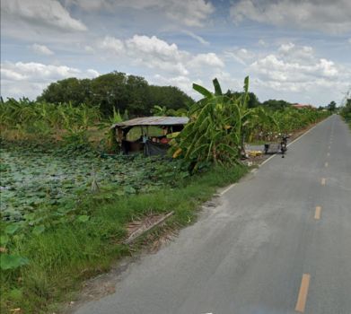 ขาย ที่ดิน ติดถนน ติดน้ำ 393 ตร.วา คลองโยง พุทธมณฑล รูปที่ 5