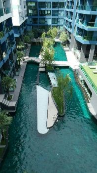 ขาย คอนโด คอนโดติดทะเล เดินถึงหาดจอมเทียนACQUA 35 ตรม. สวนกลางเลิศ รูปที่ 6