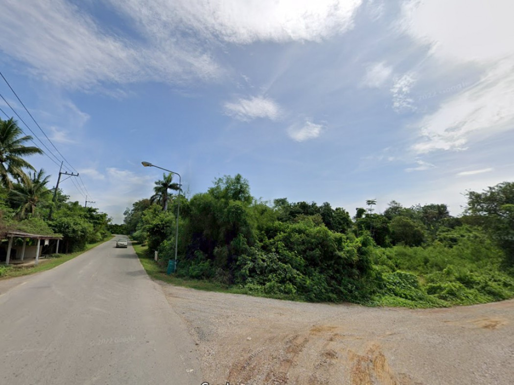 ขาย ที่ดิน คลองข่อย อำเภอโพธาราม ราชบุรี 5 ไร่ 1 งาน 79 ตร.วา เหมาะสำหรับผู้ลงทุนทำไร่พืชส่งออก ทำฟาร์มเลี้ยงสัตว์ แบ่งแปลงทำบ้านได้ รูปที่ 4
