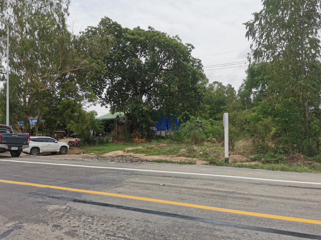 ขาย ที่ดิน - 1 ไร่ 2 งาน แปลงสวยติดแม่น้ำและถนนทางหลวง จ.สุพรรณบุรี รูปที่ 2