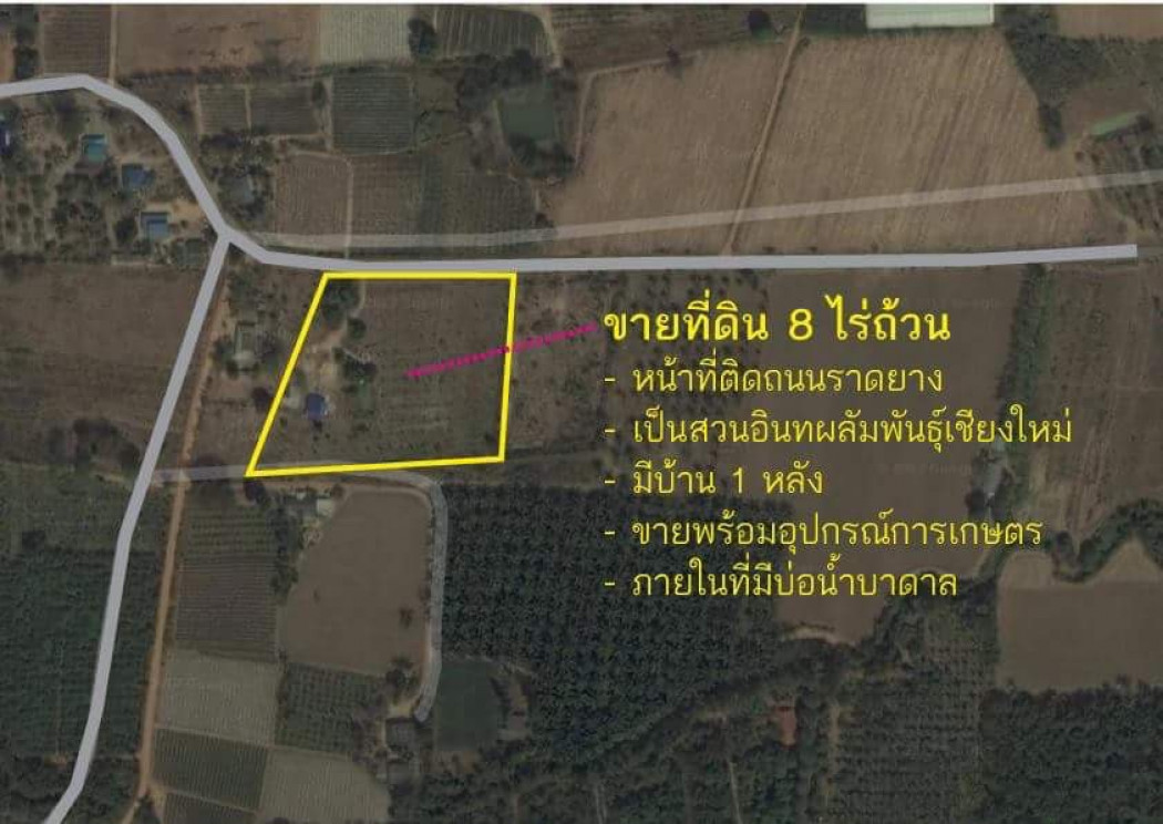 ขาย ที่ดิน ขายที่ดิน มีบ้าน 1 หลัง 2 ห้องนอน 2 ห้องน้ำสุขภัณฑ์อย่างดี - 8 ไร่ รูปที่ 1