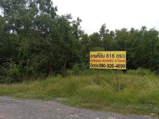 ขายที่ดิน ซอยเอราวัณ คลองหลวง ปทุมธานี 818 ตรว.10,000 บาท/ตรว. รูปที่ 1