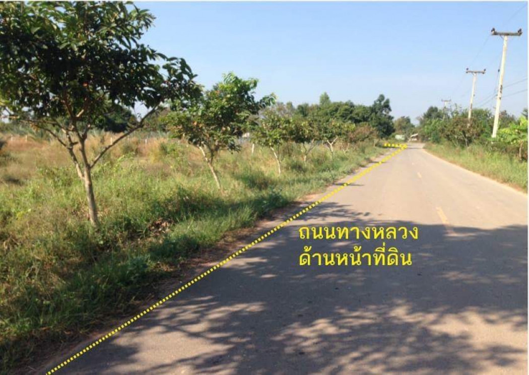 ขาย ที่ดิน ขายที่ดิน มีบ้าน 1 หลัง 2 ห้องนอน 2 ห้องน้ำสุขภัณฑ์อย่างดี - 8 ไร่ รูปที่ 2