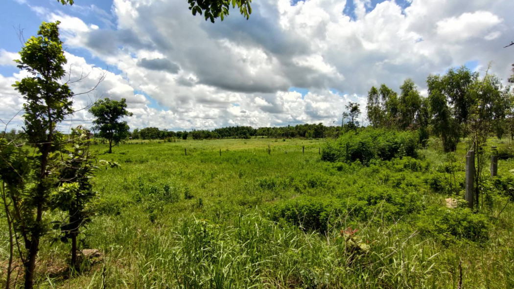 ขาย ที่ดิน ใกล้ อบต. นาชุมแสง ทุ่งฝน 21 ไร่ 68 ตร.วา รูปที่ 2