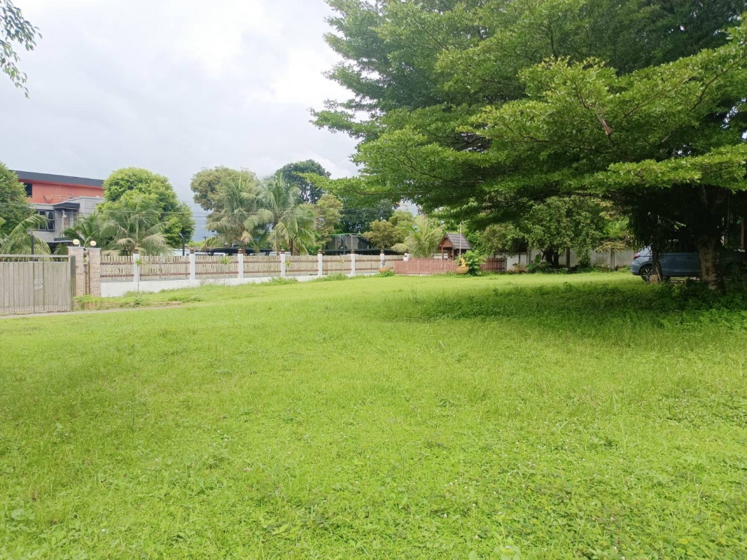 ขาย บ้านเดี่ยว เนื้อที่ใหญ่สุด จันทบุรี 300 ตรม. 1 ไร่ 52 ตร.วา ทำเลสะดวกในตัวเมืองจันทบุรี รูปที่ 2