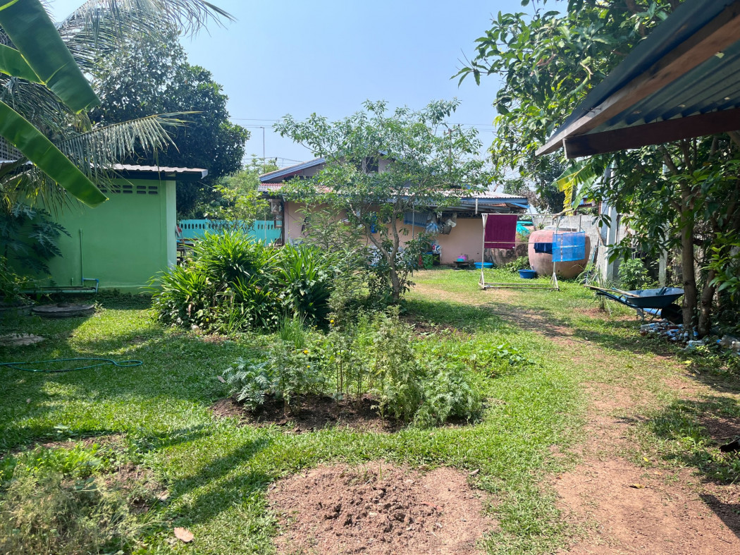 ขาย บ้านเดี่ยว ห่างจากที่ว่าการอำเภอเพ็ญ 5 กม. 126 ตรม. 1 งาน 54 ตร.วา รูปที่ 11