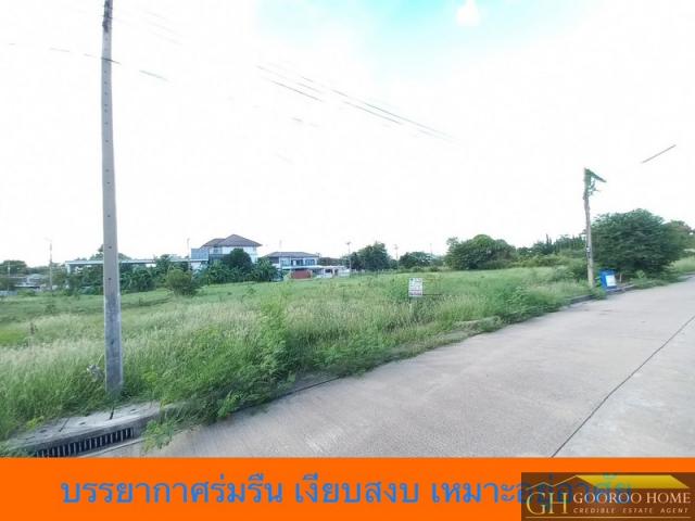 ขายถูก ที่ดิน 163 ตร.วา ม.สารินซิตี้ ถนนพระราม 2 ใกล้ วัดพันท้ายนรสิงห์ นิคมสินสาคร  ทำเลดี เหมาะสร้างบ้าน รูปที่ 1