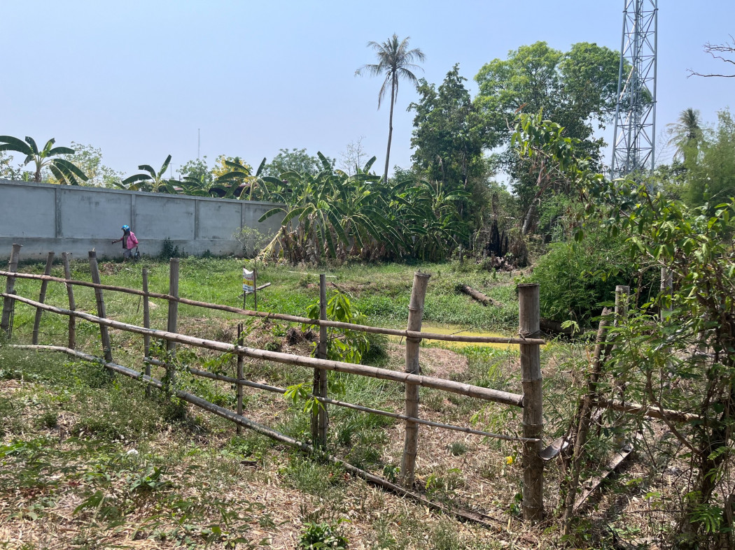 ขาย ที่ดิน ตรงข้ามสำนักงานสรรพสามิต สาขาเพ็ญ 1 งาน 64 ตร.วา รูปที่ 3