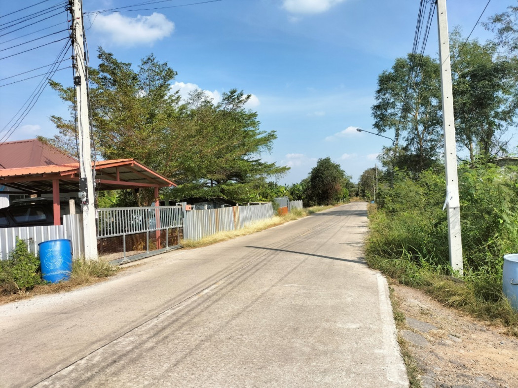 ขาย ที่ดิน ที่ถมแล้วพร้อมสร้างบ้านได้ ที่ดินเปล่าลาดหลุมแก้ว 2 งาน ขายถูก รูปที่ 10