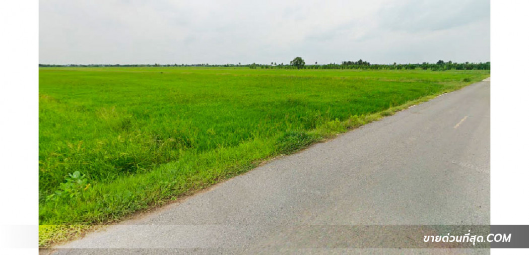 ขาย ที่ดิน ขายที่ดิน อ.บางน้ำเปรี้ยว ฉะเชิงเทรา เนื้อที่ 281 ไร่  281 ไร่ รูปที่ 4