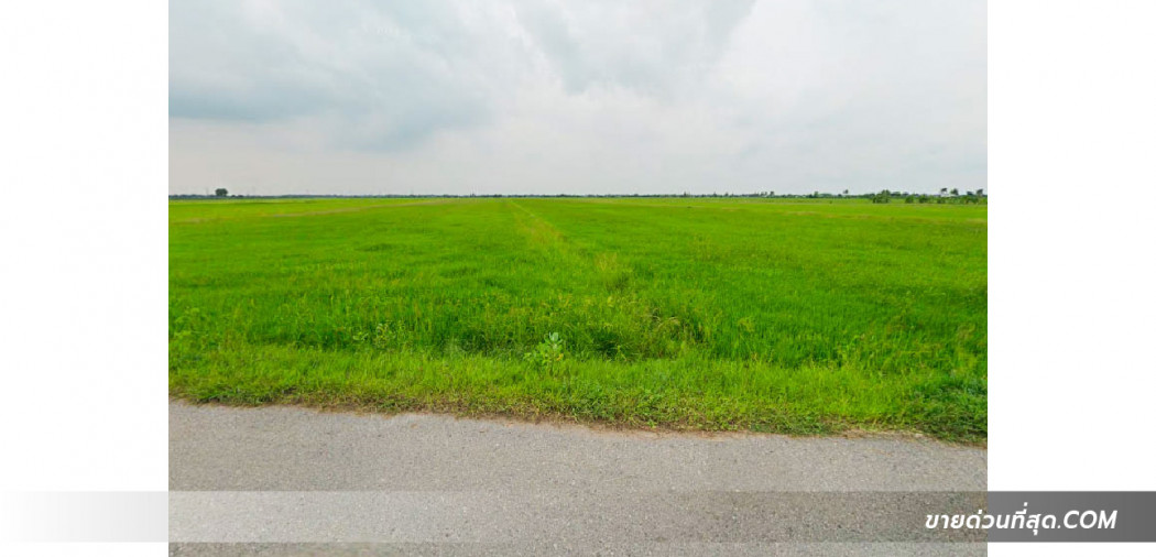 ขาย ที่ดิน ขายที่ดิน อ.บางน้ำเปรี้ยว ฉะเชิงเทรา เนื้อที่ 281 ไร่  281 ไร่ รูปที่ 5