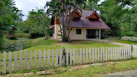 ขาย ที่ดิน  477 ตร.วา ทำเลมาแรงแปลงสวย กลางดง ติดเขาใหญ่ รูปที่ 6