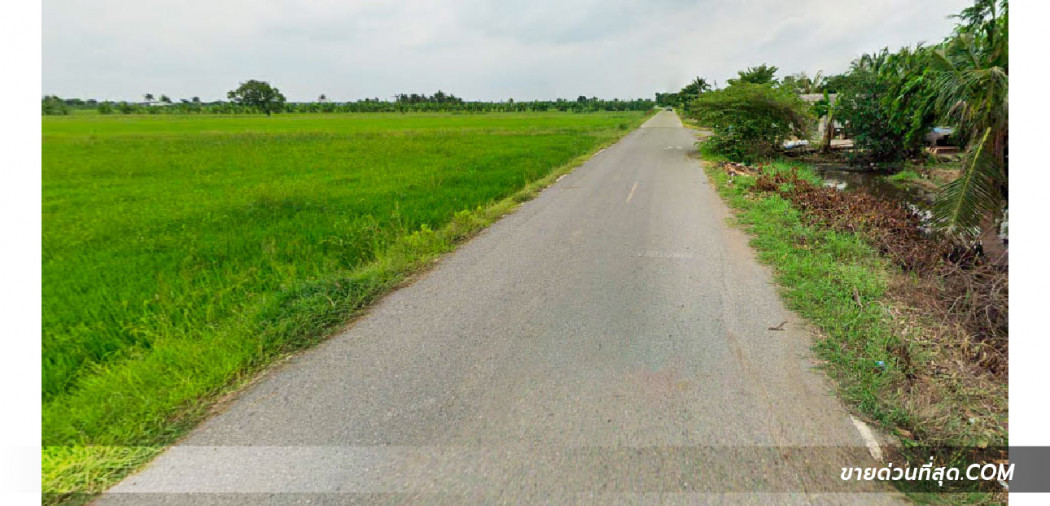 ขาย ที่ดิน ขายที่ดิน อ.บางน้ำเปรี้ยว ฉะเชิงเทรา เนื้อที่ 281 ไร่  281 ไร่ รูปที่ 6