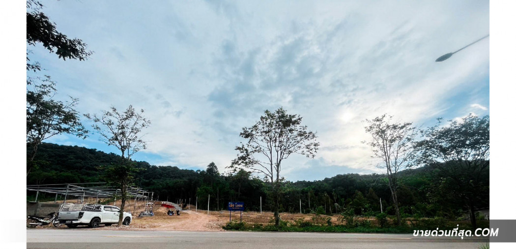 ขาย ที่ดิน ขายที่ดินพร้อมสวนทุเรียน อ.นายายอาม จ.จันทบุรี เนื้อที่ 5 ไร่ 3 งาน 86 ตร.ว. 5 ไร่ 3 งาน 86 ตร.วา รูปที่ 3