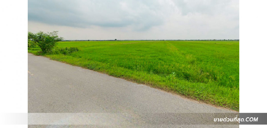 ขาย ที่ดิน ขายที่ดิน อ.บางน้ำเปรี้ยว ฉะเชิงเทรา เนื้อที่ 281 ไร่  281 ไร่ รูปที่ 3