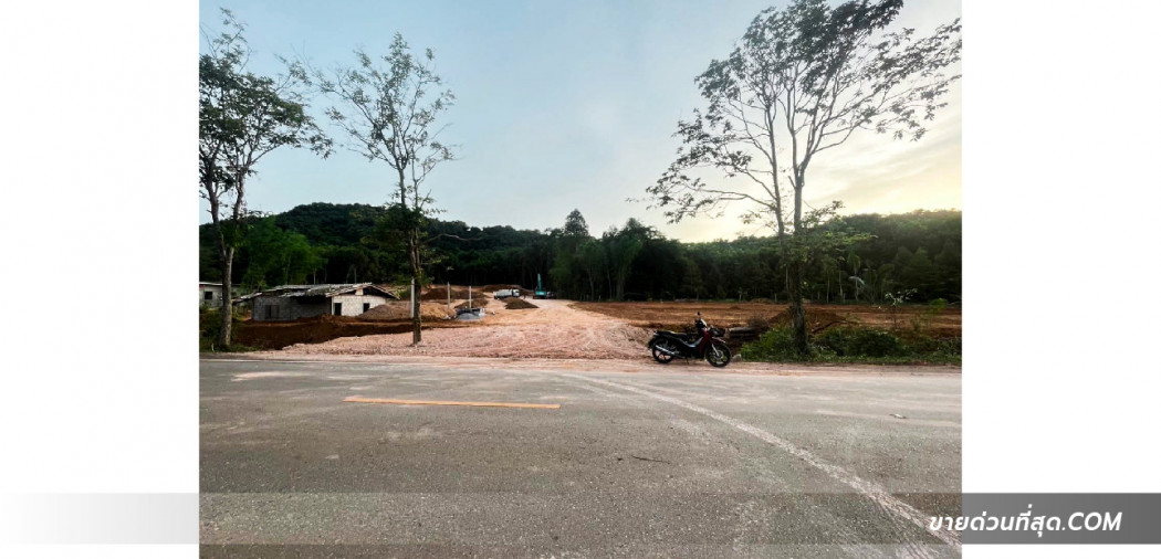 ขาย ที่ดิน ขายที่ดินพร้อมสวนทุเรียน อ.นายายอาม จ.จันทบุรี เนื้อที่ 5 ไร่ 3 งาน 86 ตร.ว. 5 ไร่ 3 งาน 86 ตร.วา รูปที่ 4