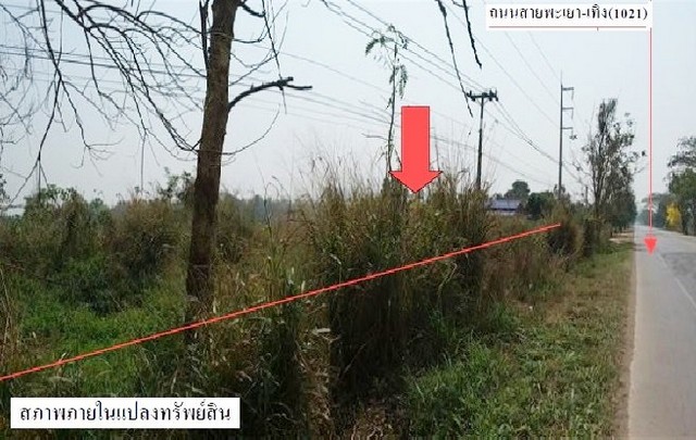 ขายที่ดินว่างเปล่าโครงการ บ้านแม่ต๋ำ เทิง  เชียงคำ พะเยา PSC08782 รูปที่ 1