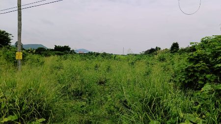 ขาย ที่ดิน ติดถนน วิวเขา360องศา 28 ไร่ 15 ตร.วา เทศบาลเมืองทับกวาง แก่งคอย สระบุรี รูปที่ 2