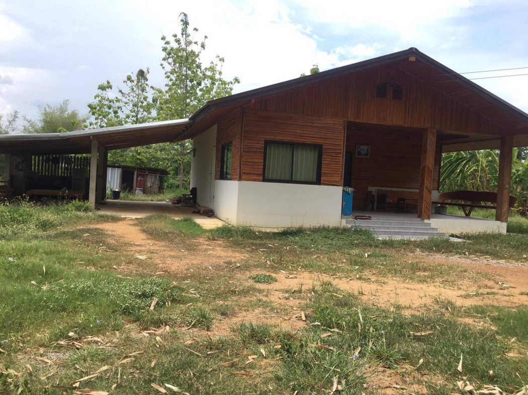 ขาย บ้านเดี่ยว บ้านสร้างจากไม้สักบ้านเดียว 180 ตรม. 3 ไร่ 3 งาน ทำเลสวย รูปที่ 8