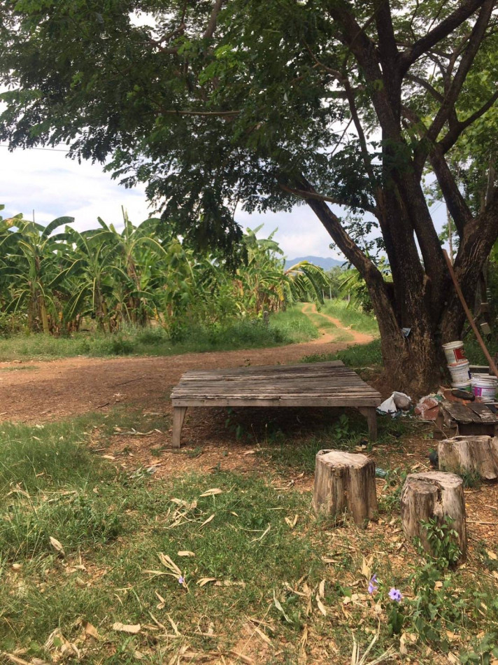 ขาย บ้านเดี่ยว บ้านสร้างจากไม้สักบ้านเดียว 180 ตรม. 3 ไร่ 3 งาน ทำเลสวย รูปที่ 9